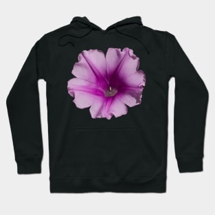 Petunia Hoodie